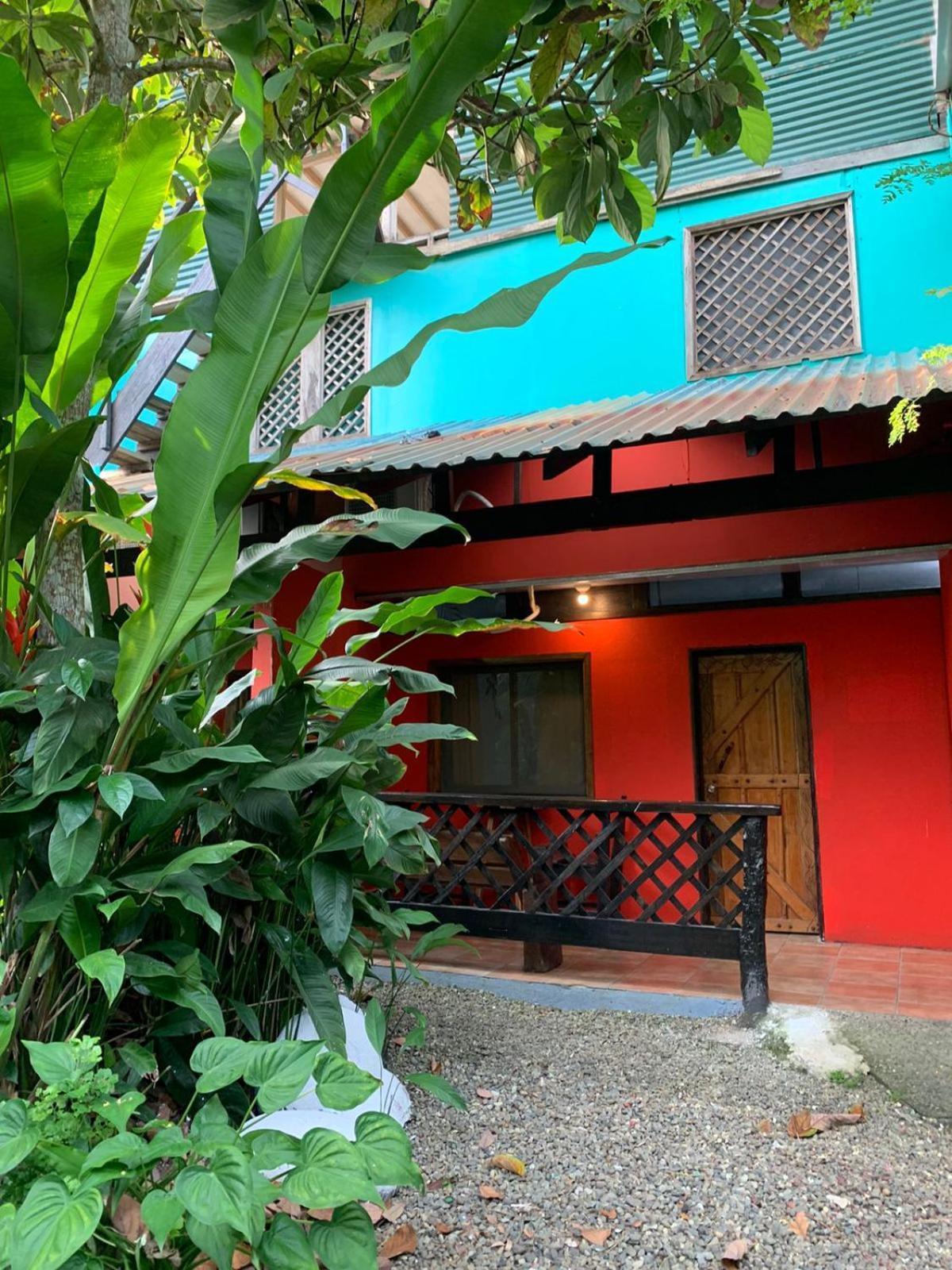 Playa Negra Brewing Beachfront Hotel Puerto Viejo de Talamanca 외부 사진