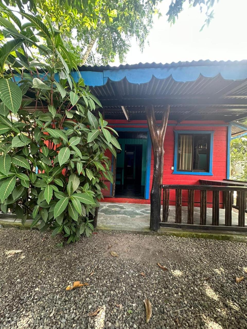 Playa Negra Brewing Beachfront Hotel Puerto Viejo de Talamanca 외부 사진