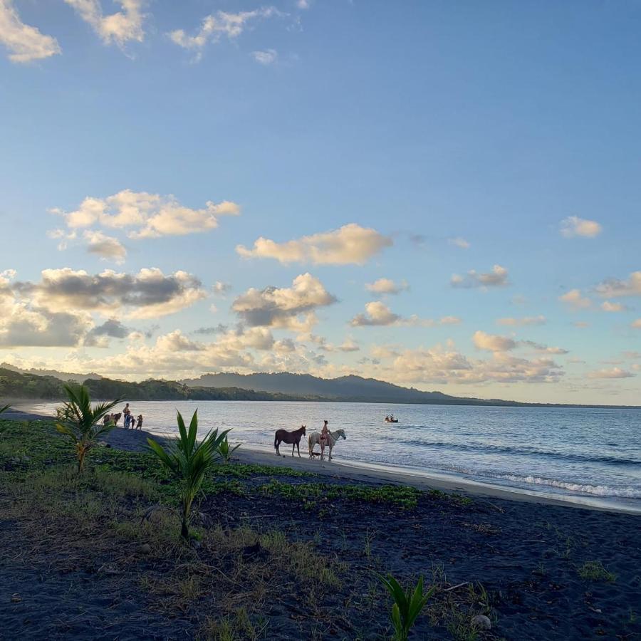 Playa Negra Brewing Beachfront Hotel Puerto Viejo de Talamanca 외부 사진